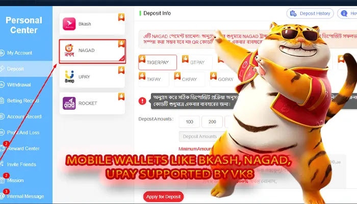 Mobile wallets like bKash, Nagad, Upay supported by VK8